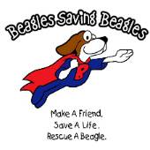 Beagles Rescue Beagles Rescue